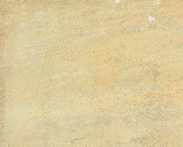 Fossil Mint